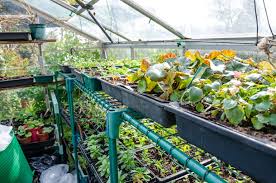 Greenhouse Accessories